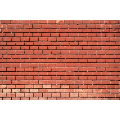 DIMEX ART Флизелинов фототапет декорация от тухлена стена 375 x 250 см