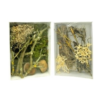 Lucky Reptile Deco Set Desert