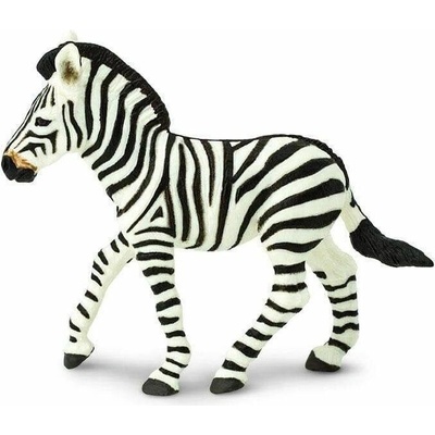 Safari Mláďa zebra