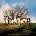 OST - Big Fish CD