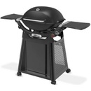 Weber Q3200N+