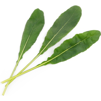 Veritable Вложка за семена Lingot вкусове на азиатско японско зеле мибуна (VLIN-S10-Mib034)