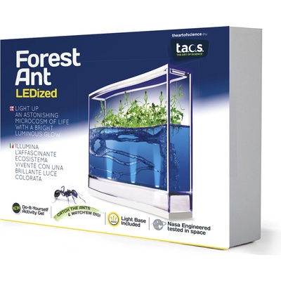 Forest Ant Ecoterrarium – Zboží Dáma