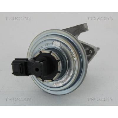 AGR - Ventil TRISCAN 8813 16045