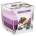 BISPOL Ароматна свещ Bispol Aura - Blueberry Cheesecake, 170 g (snk80-359)