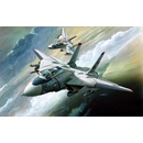 Academy Grumman F-14 Tomcat Model Kit 12608 1:144