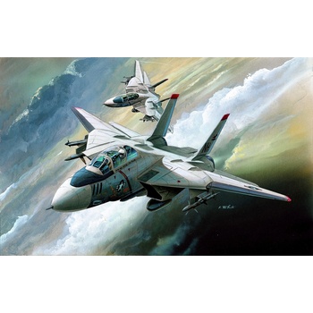 Academy Grumman F-14 Tomcat Model Kit 12608 1:144