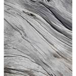 DIMEX ART Флизелинов фототапет структура от стромати 225 x 250 см