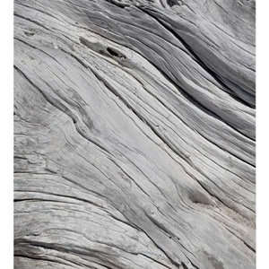 DIMEX ART Флизелинов фототапет структура от стромати 225 x 250 см