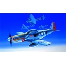 Academy Model Kit North American P51D Mustang USAAF 355th FG 354th FS Down for Double Gordon Graham Anglie 1945 12485 1:72