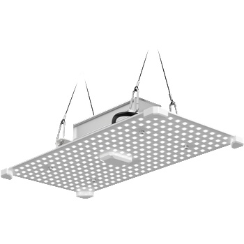 LUMii Black Blade 100W LED - LED лампа за растеж (611154)