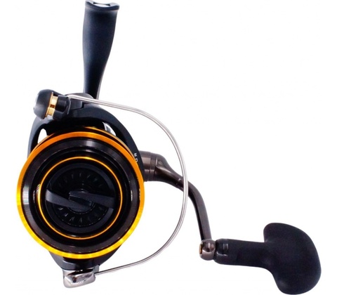Daiwa BG 3000