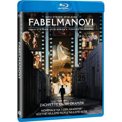 MagicBox Семейство Фейбълман - Blu-ray (058249)
