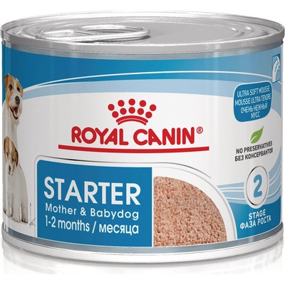 Royal Canin Starter Mousse 96 x 195 g
