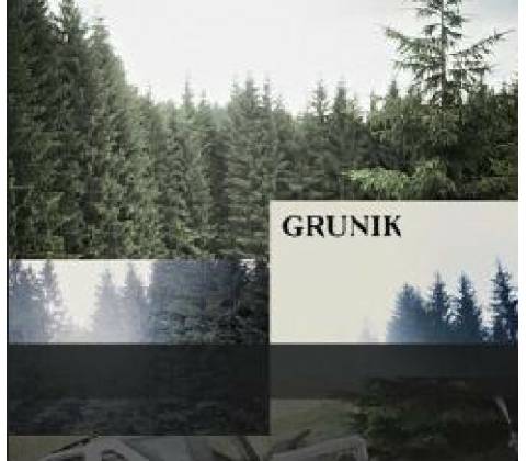 Grunik: Ozvěny CD