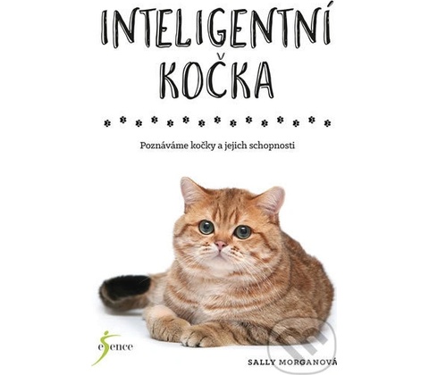 Inteligentní kočka
