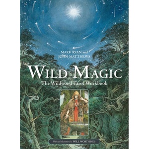 Wild Magic (ISBN: 9781800691292)