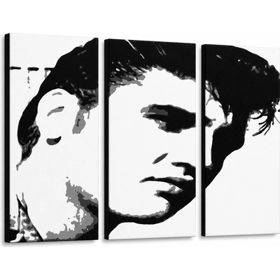 Ručne maľovaný POP Art obraz ELVIS - 90x60 cm
