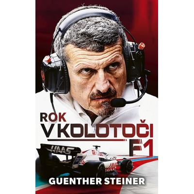 Rok v kolotoči F1