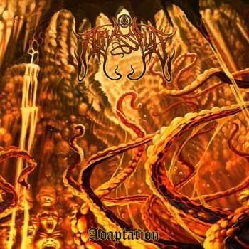 Abyssalis - Adaptation CD