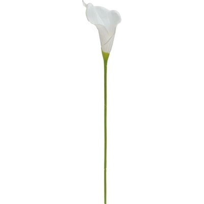 KS CALLA BIELA 70CM