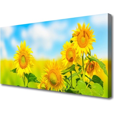Obraz Canvas Slnečnica kvety príroda 100x50 cm