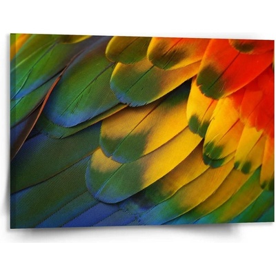 Sablio Obraz Barevné peří - 150x110 cm