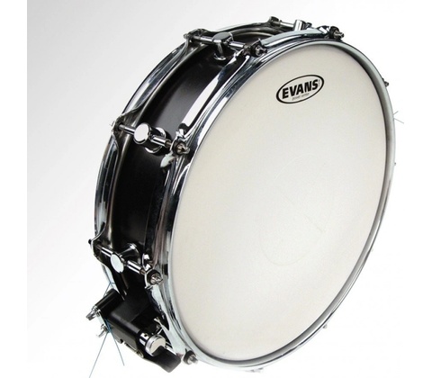 Evans 13" Power Center Reverse Dot Coated