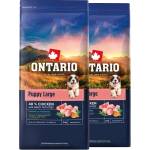 ONTARIO Puppy Large Chicken & Sweet Potatoes 2 x 12 кг