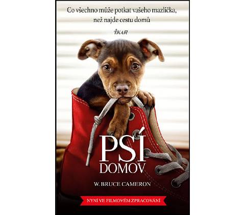 Psí domov