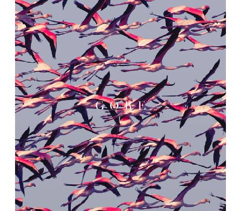 Deftones - Gore LP