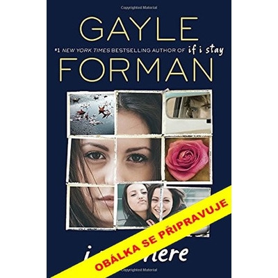 Byla jsem tu - Gayle Formanová