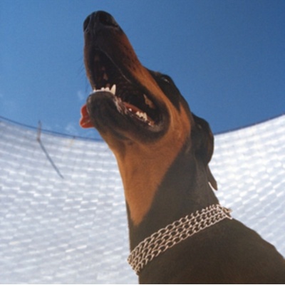 OVERMONO - GOOD LIES CD