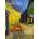 Enjoy - Puzzle Vincent Van Gogh: Cafe Terrace at Night - 1 000 piese