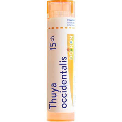 Thuya Occidentalis gra.1 x 4 g 15CH