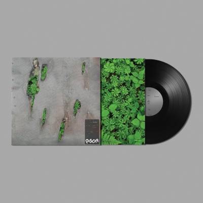 KORELESS - Agor LP