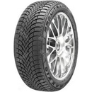 Maxxis Premitra Snow WP6 205/55 R16 91H