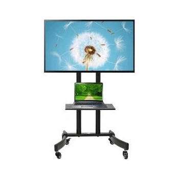 Maclean Floor stand MC-739 32 - 65