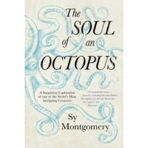 Soul of an Octopus (2016)