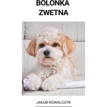 Bolonka Zwetna