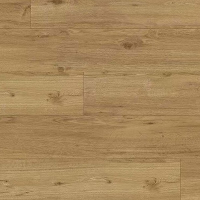 Experto LVT 55 Dub Ravello 6110-71 4,1806 m²