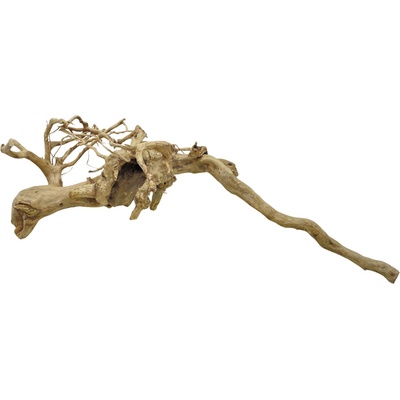 Invital Red moor wood KG 2345 g Z05035