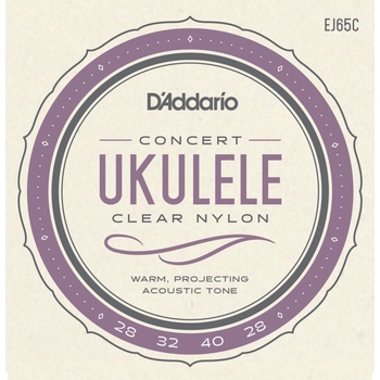 D'addario EJ65C