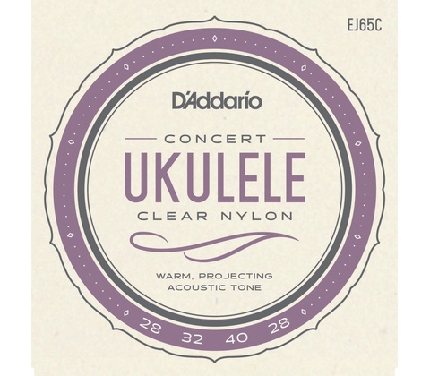 D'addario EJ65C