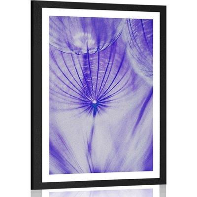 Plakát s paspartou pampeliška v fialovém provedení - 20x30 white