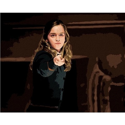 zuty Malování Podle Čísel Hermiona S Hůlkou Harry Potter 40 x 50 Cm Plátno