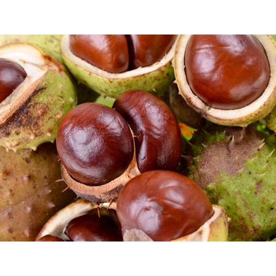 Natubea Kaštan plod mletý 200 g
