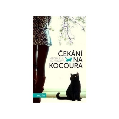 Čekání na kocoura - Michaela Klevisová