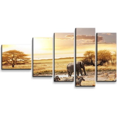 Sablio Obraz - 5-dílný Safari - 100x60 cm