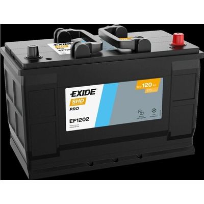 Exide Professional Power HDX 12V 120Ah 870A EF1202